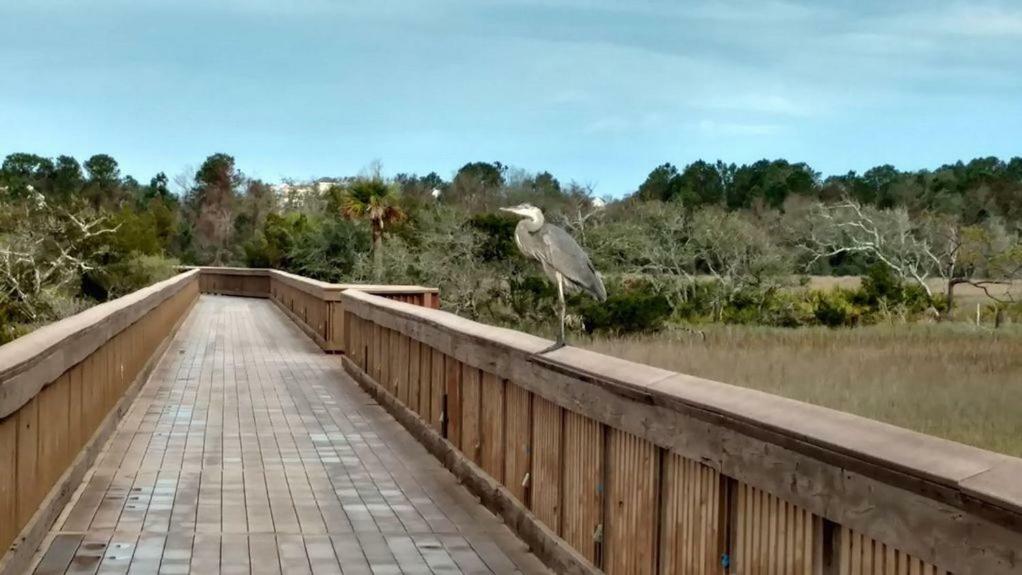 Hilton Head Resort Hilton Head Island Exteriér fotografie